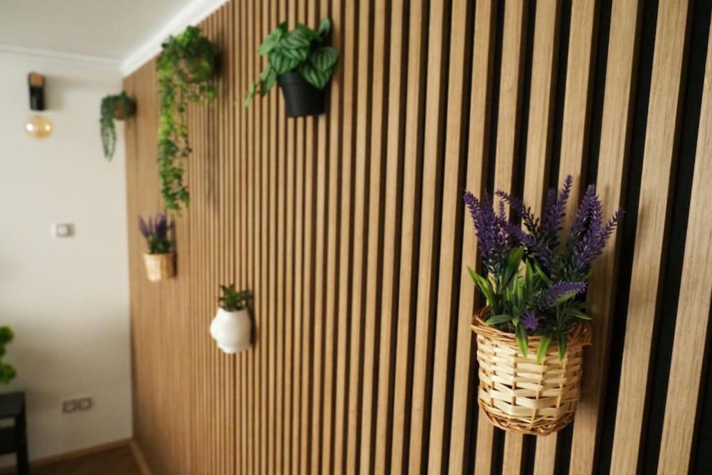 Victoria Appartement